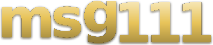 msg111 logo